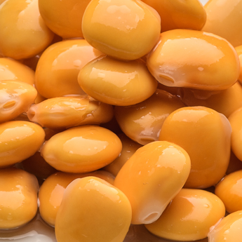 Encurtidos Altramuces